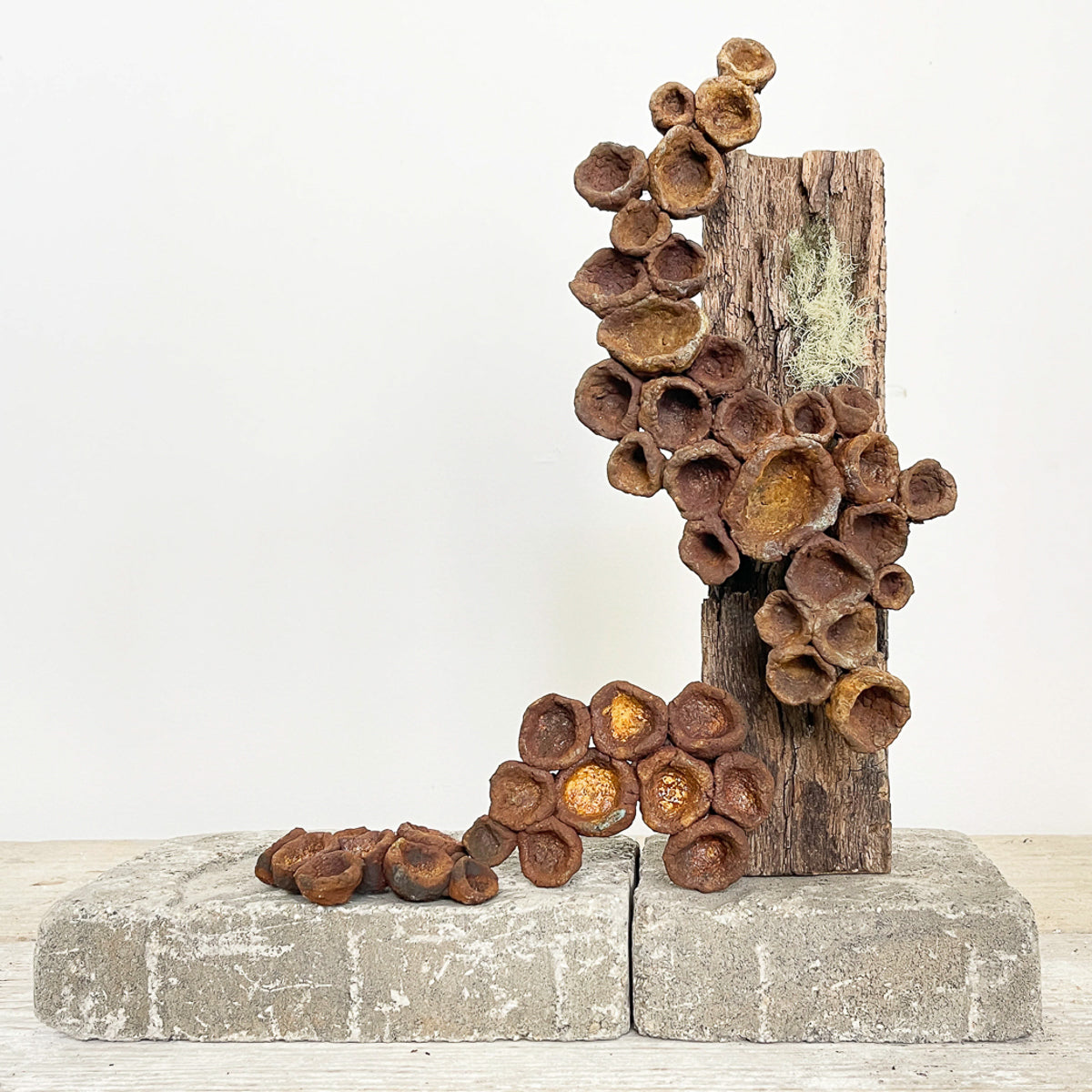 Lost World Totem No. 2